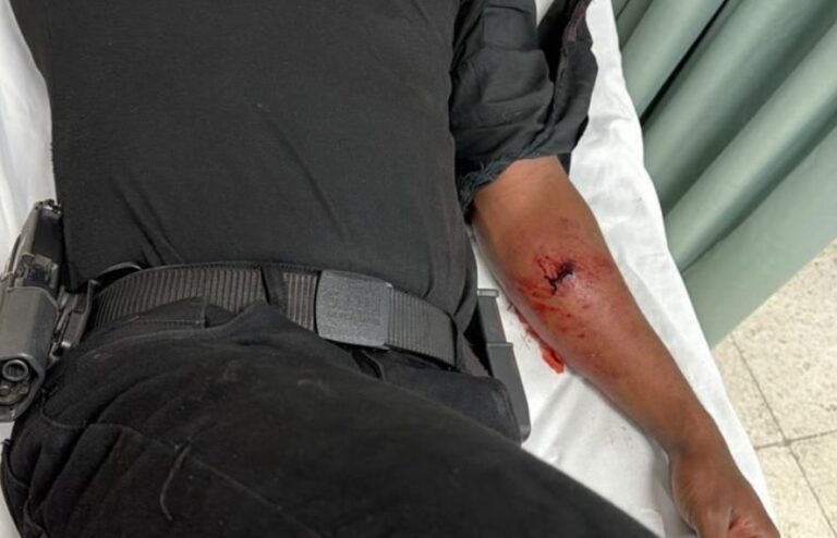 Caen abatidos “Yamal” y “Julio 30-30”, presuntos implicados en la muerte de amiga de Masha; miembro de la Policía resulta herido