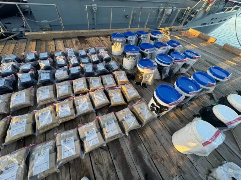 Autoridades incautan cargamento de marihuana en Baní y contenedor con cocaína en Puerto Caucedo