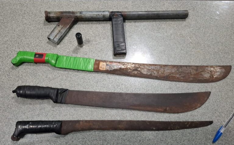 Detienen a cinco menores presuntos integrantes de la banda denominada “Los 102” en SPM