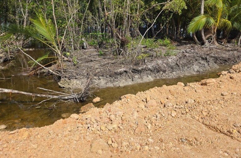 Detienen proyecto The Reef en Samaná por daños al medio ambiente