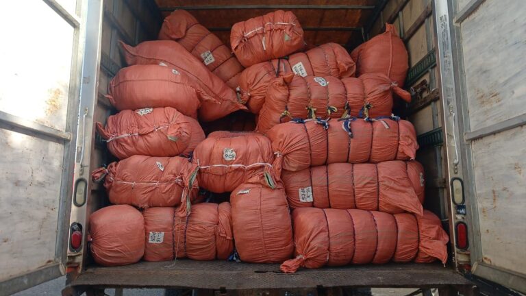 Ministerio Público incauta más de 70 mil útiles escolares falsificados en el Gran Santo Domingo