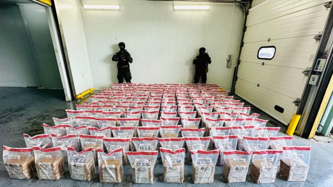 Incautan 700 paquetes de cocaína en contenedor de uvas proveniente de Chile Incautan 700 paquetes de cocaína en contenedor de uvas proveniente de Chile