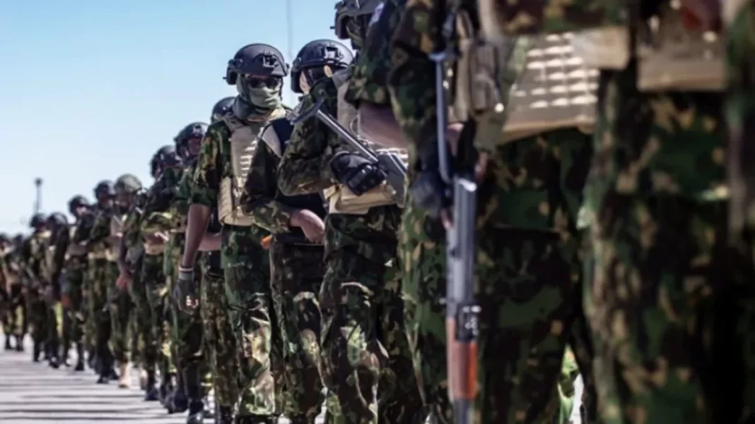 República Dominicana y Haití pactan impulsar despliegue total de fuerza antipandillas República Dominicana y Haití pactan impulsar despliegue total de fuerza antipandillas